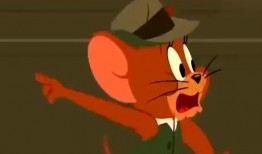 最新老鼠爆料新闻视频下载,一窥娱乐圈幕后真相